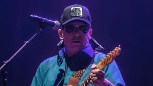 Calamaro Monticello